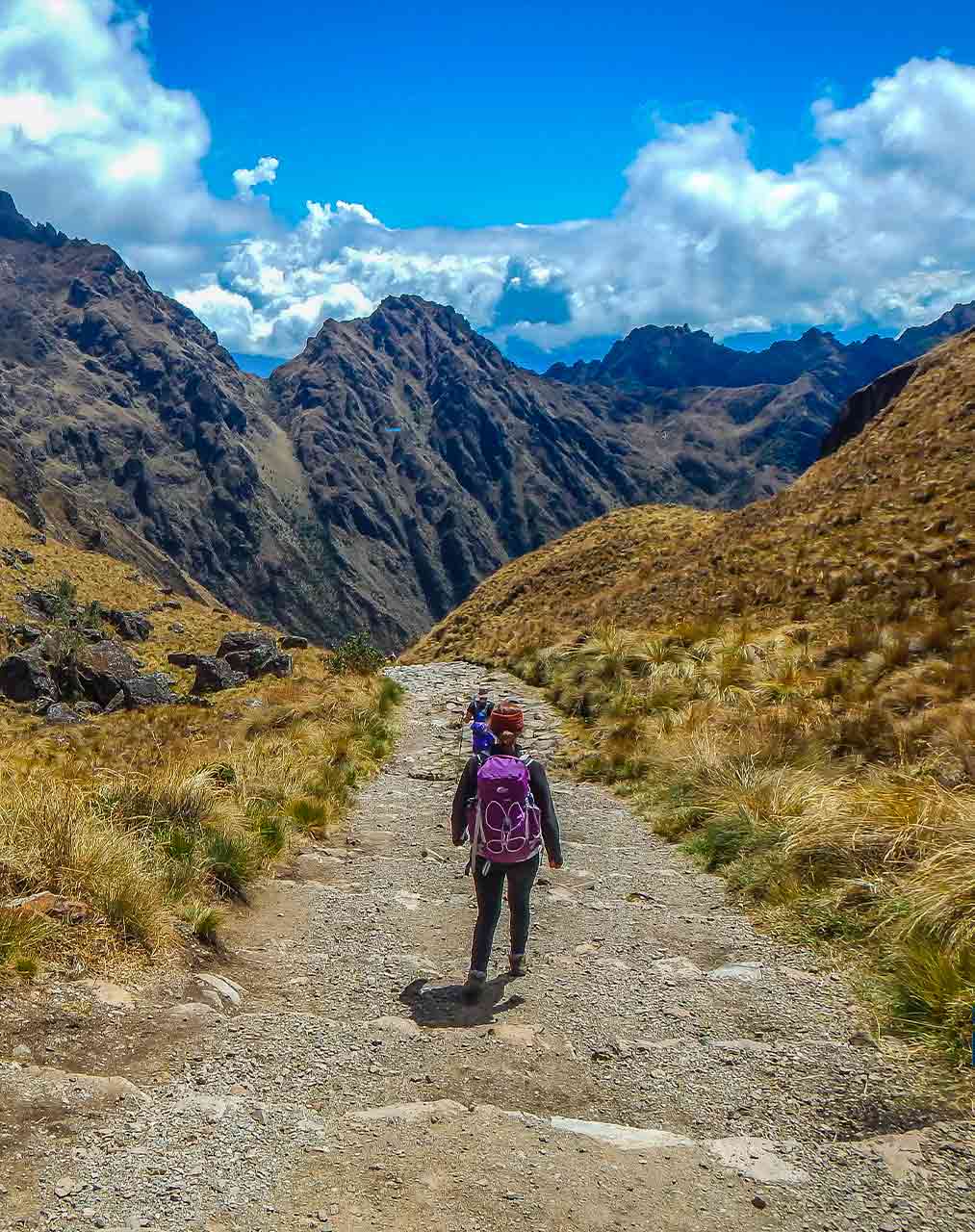 How hard is the Inca Trail? Altitude, Preparation and Tips - Go Treks